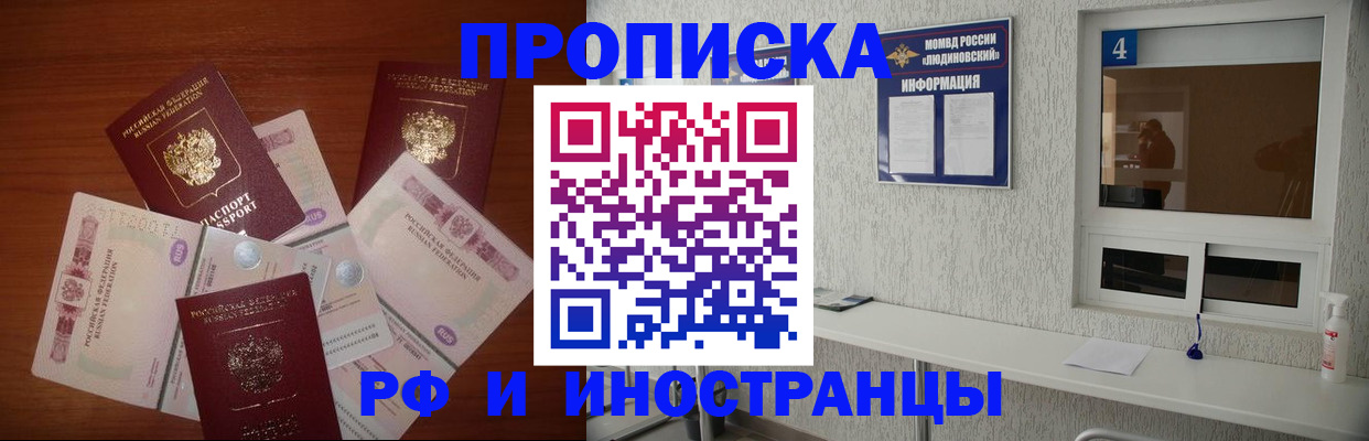 прописка ребенка в Коле
